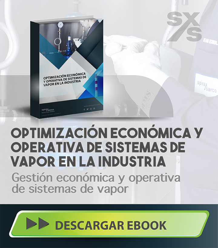 Ebook Optimizacion economica y operativa de sistemas de vapor en la industria