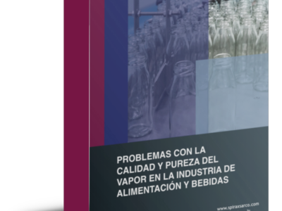 la calidad y pureza del vapor en la industria de alimentación y bebidas