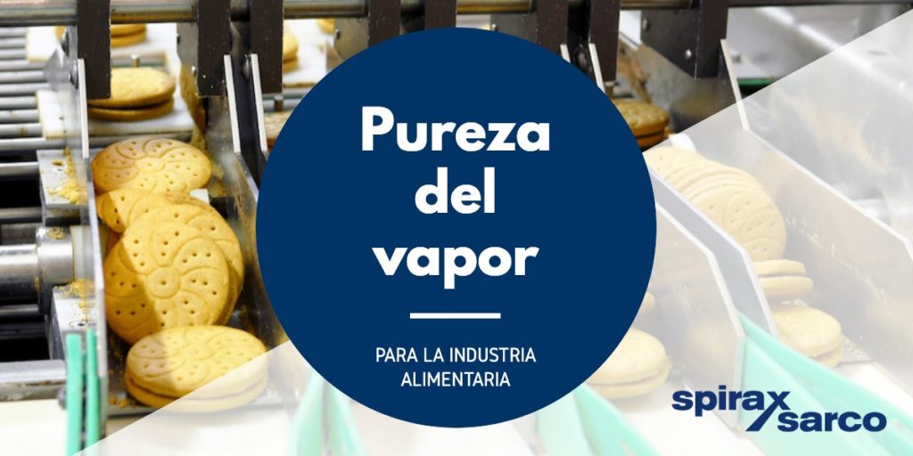 Pureza del vapor para la industria alimentaria