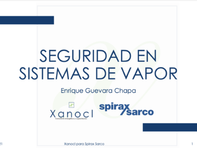 Webinar Replay Seguridad en Sistemas de Vapor