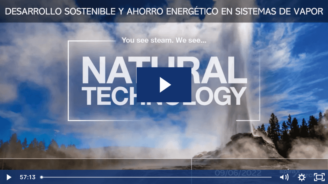 Desarrollo sostenible y ahorro energético en sistemas de vapor