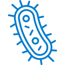 bacteria-icon
