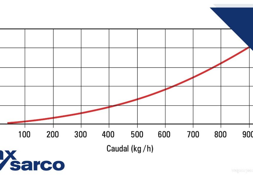 Medición de caudal de placa orificio para vapor para vapor