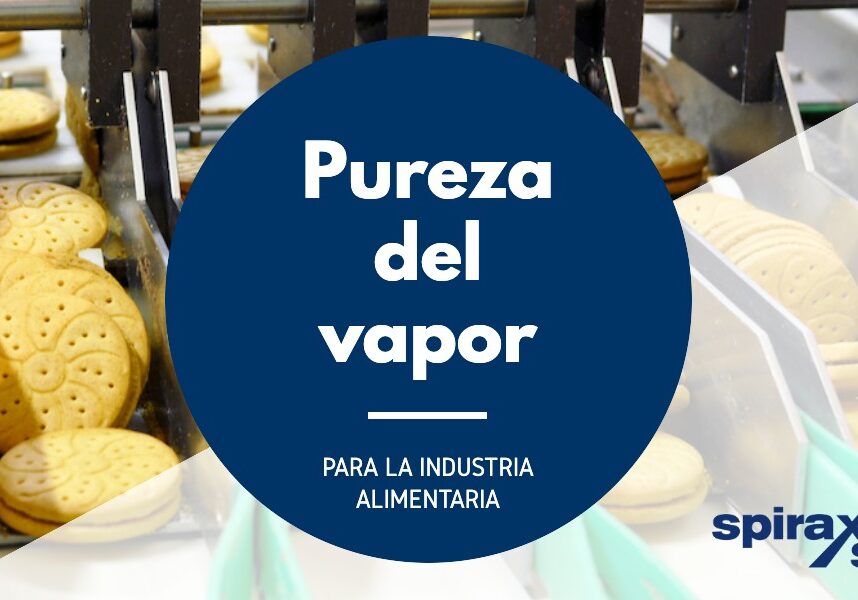 Pureza del vapor para la industria alimentaria