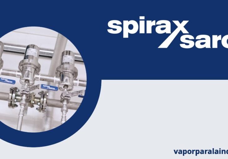 Purgador de vapor
