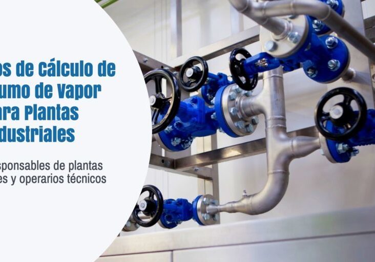 cálculo de consumo de vapor