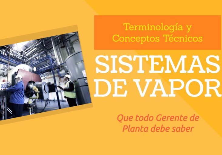 conceptos-técnicos-de-los-sistemas-de-vapor-industria