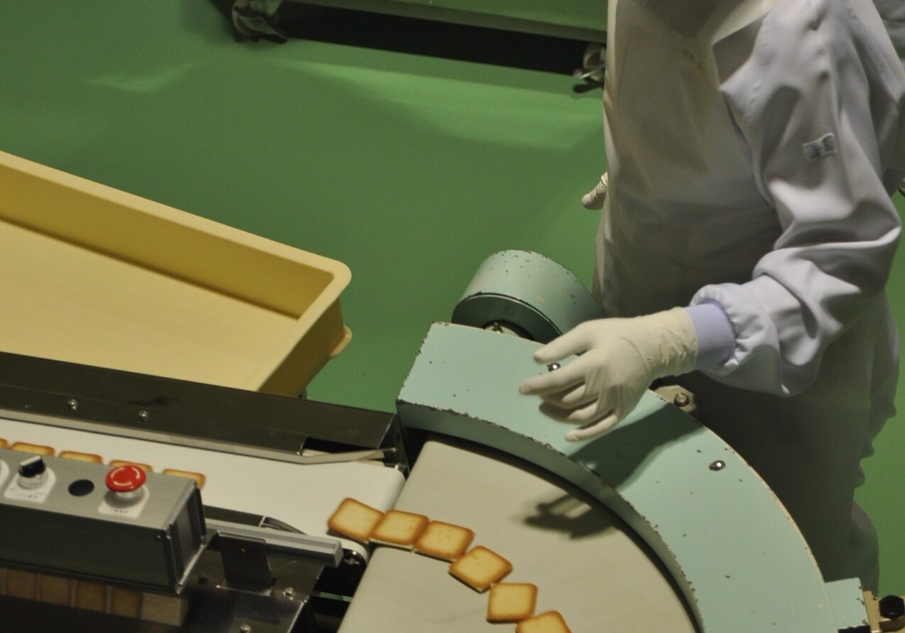 Filtros de Alta eficiencia para sistemas de vapor