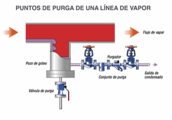 purga de líneas de vapor